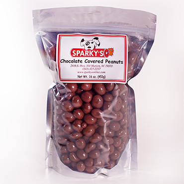 Chocolate Covered Peanuts -16 oz